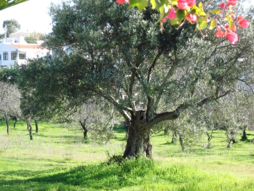 Quinta Mimosa Ξενοδοχείο Λουλέ Δωμάτιο φωτογραφία