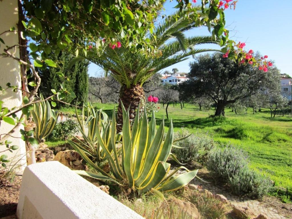 Quinta Mimosa Ξενοδοχείο Λουλέ Δωμάτιο φωτογραφία